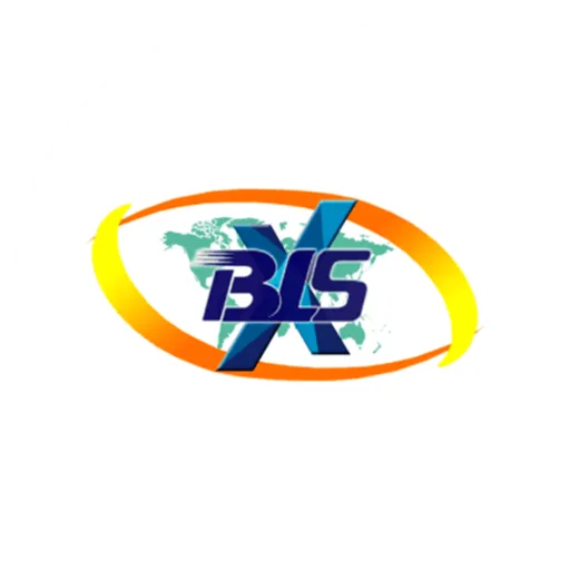 BLSX Limited logo