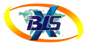 BLSX Limited logo